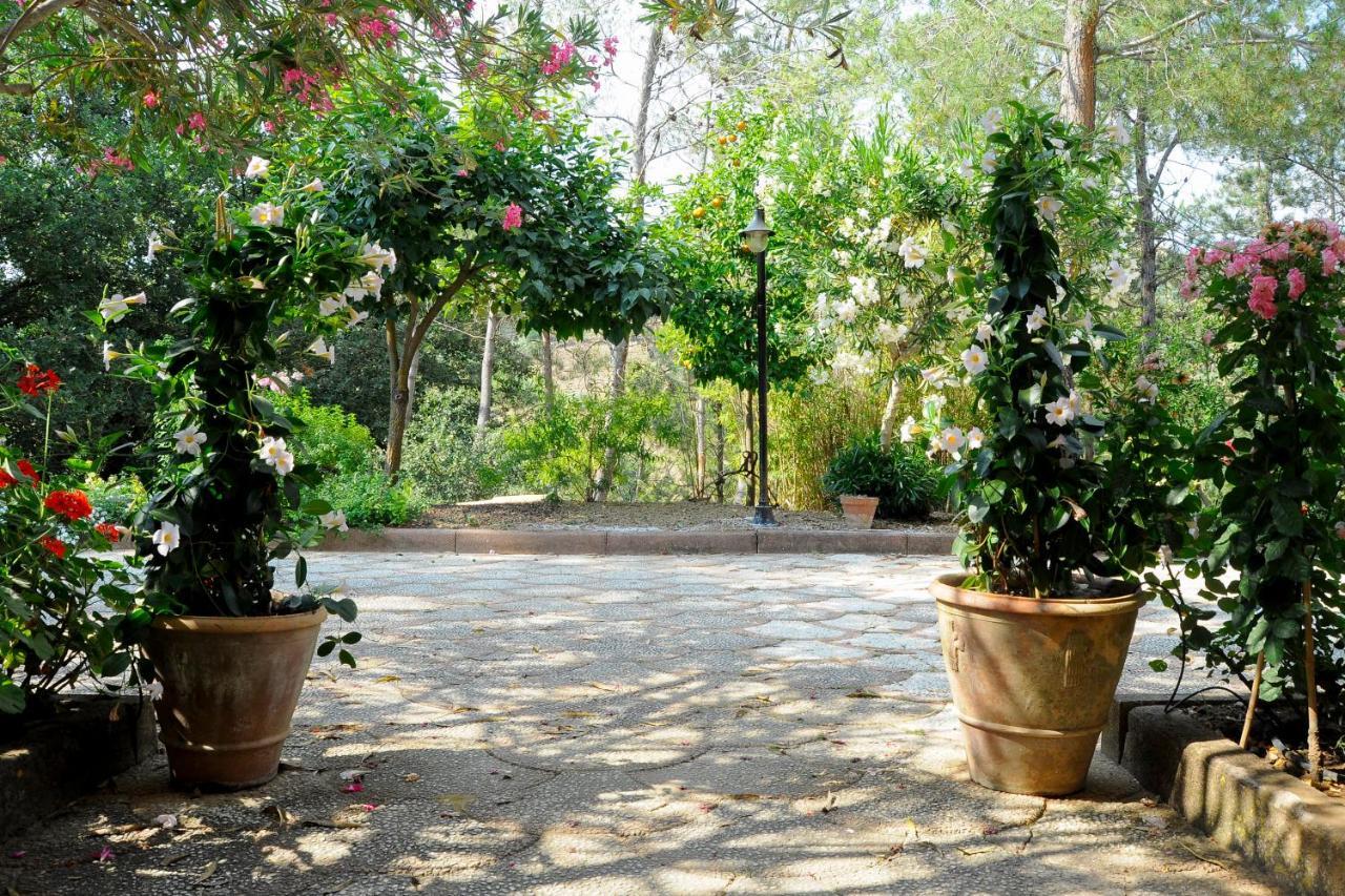 Agriresort Villa Bentivoglio Piazza Armerina Zewnętrze zdjęcie