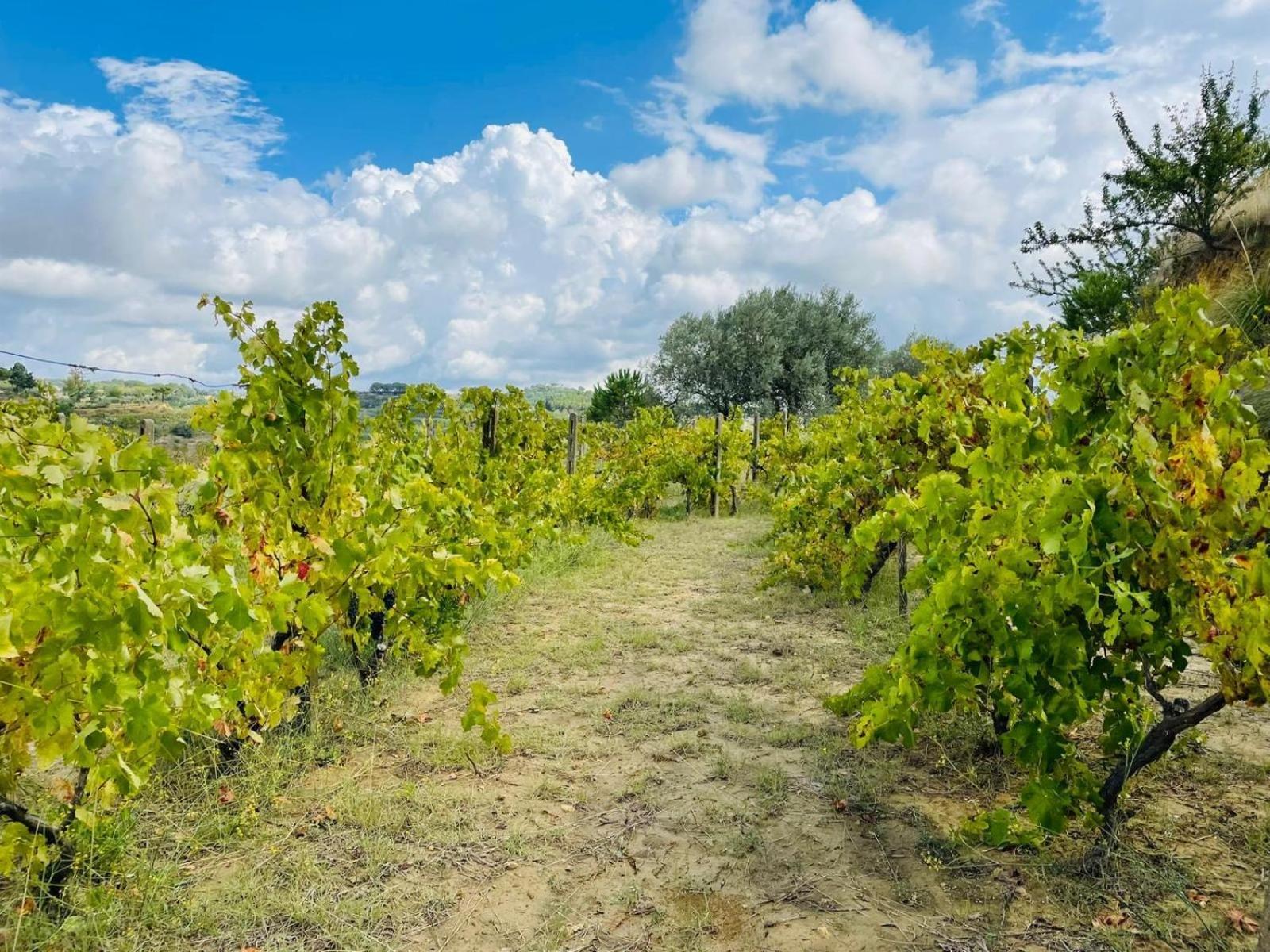Agriresort Villa Bentivoglio Piazza Armerina Zewnętrze zdjęcie